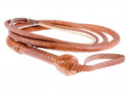 Photo of whip