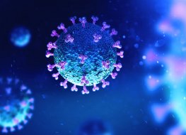 Covid-19 Artist rendering of the COVID-19 virus