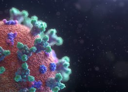A rendering of the Covid-19 virus