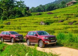 Ford Everest SUVs touring the countryside lush with paddy field