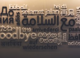 A board showcasing different languages for the word 
