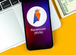 RVN logo on a phone