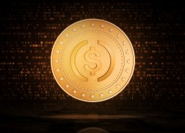 Circle USD Coin stablecoin
