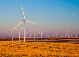Renewable energy Wind turbines on a yellow field during sunset