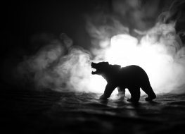 A photograph of a bear in silhouette