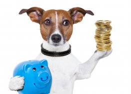 Representation of a dog holding a blue piggy bank and a stack of crypto coins 