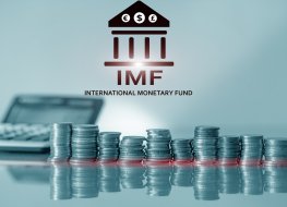 Coins in front of the International Monetary Fund logo