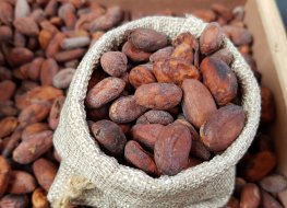 Cocoa price forecast: Will demand fall further as inflation bites?