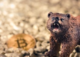 Bear and coin with bitcoin (BTC) logo