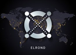 Elrond crypto digital payment system blockchain concept. Cryptocurrency isolated on earth night lights world map background. Vector illustration