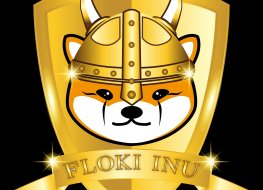 Floki Inu coin token crypto currency with golden shield, Baby doge flokin inu to the moon. vector eps 10