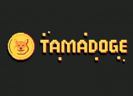 The name Tamadoge appears in gold on black background 