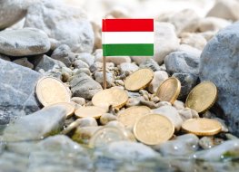 flag of Hungary with euro coins amid stones on the riverbank