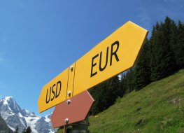 USD-EUR sign and alpine scenery in the background