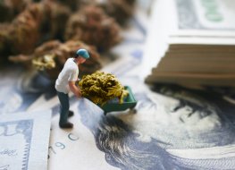 Marijuana stocks to buy in 2021 Marijuana stocks to buy