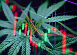 Marijuana leaf over a stock chart