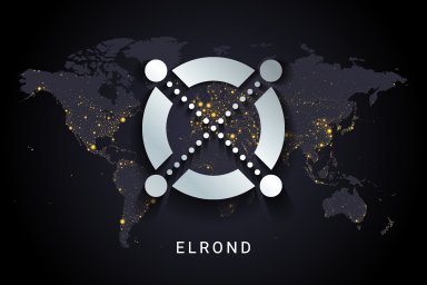 Elrond crypto digital payment system blockchain concept. Cryptocurrency isolated on earth night lights world map background. Vector illustration