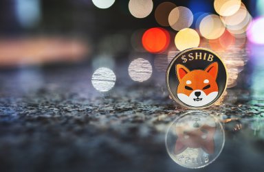 Прогноз курса Shiba