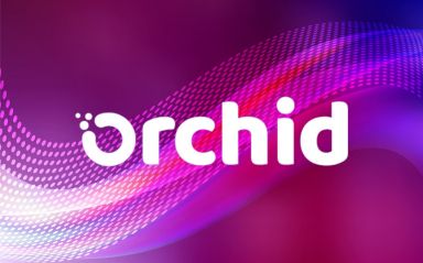 Orchid price prediction