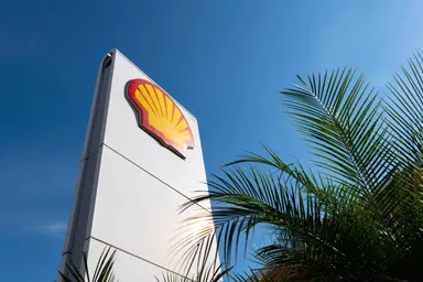 Shell logo displayed on a tall company sign beside palm trees under a clear blue sky, representing the global energy company. 