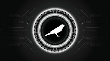 Kusama logo with crypto currency themed circle black background design. Modern neon color banner for KSM token icon. Kusama Cryptocurrency Blockchain technology concept.