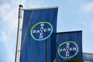 Bayer-Unternehmensflaggen vor einem Firmengebäude
