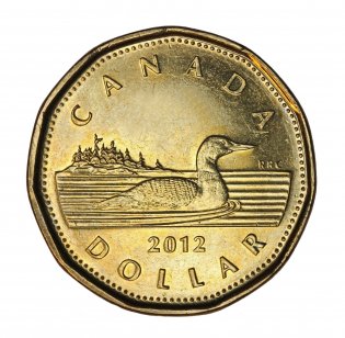 Canadian one dollar coin known as the loonie