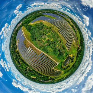 Solar panels and rainforests