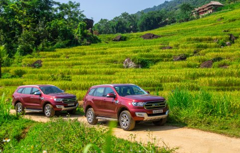 Ford Everest SUVs touring the countryside lush with paddy field