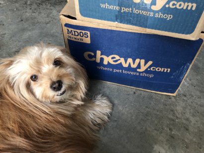 Dog and Chewy box