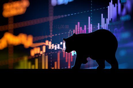 Bear in front of stock chart