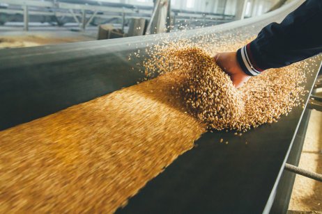 Wheat flour factory production line