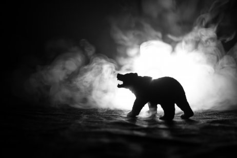 A photograph of a bear in silhouette