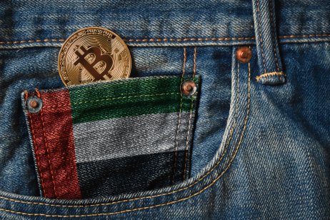 A bitcoin tucked into a UAE flag designed jeans pocket 