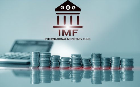 Coins in front of the International Monetary Fund logo