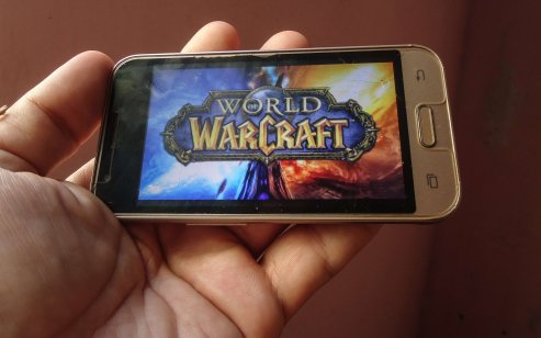 Activision Blizzard game World of Warcraft