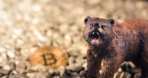 Bear and coin with bitcoin (BTC) logo