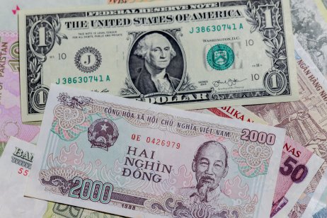 One US dollar among Vietnamese dong notes