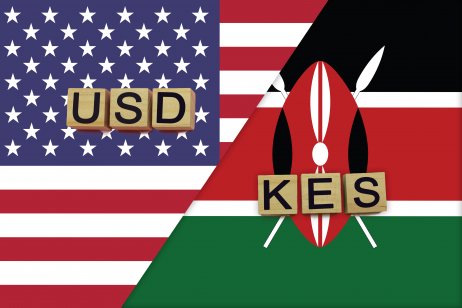 US and Kenyan currency codes on national flags