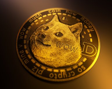 Dogecoin token