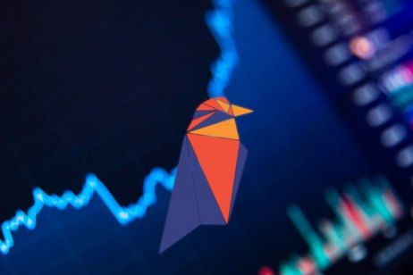 Ravencoin (RVN) logo, showing graphic of a colourful bird against a darkened financial graph