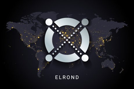 Elrond crypto digital payment system blockchain concept. Cryptocurrency isolated on earth night lights world map background. Vector illustration