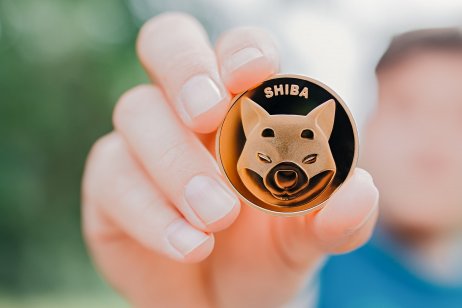 Hand holding Shiba Inu coin