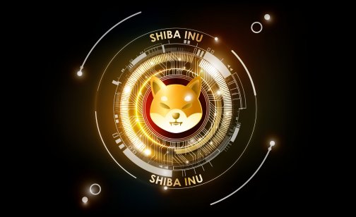 Who owns the most shiba inu coins? All you need to know about SHIB community. Shiba Inu SHIB cryptocurrency token, futuristic digital money background