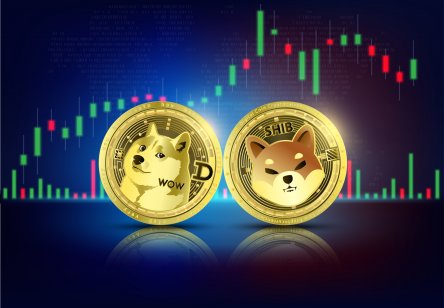 DOGE and SHIB tokens in front of a graph