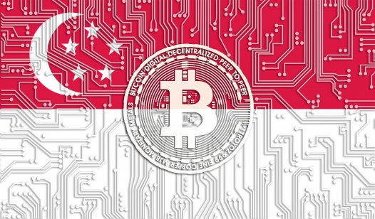 Singapore flag with a Bitcoin and circuit board pattern