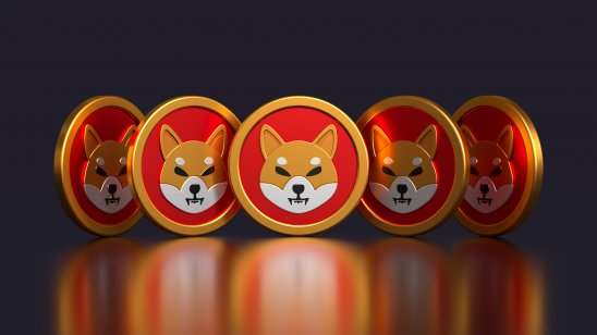 5 shiba inu crypto coins seen from several different angles