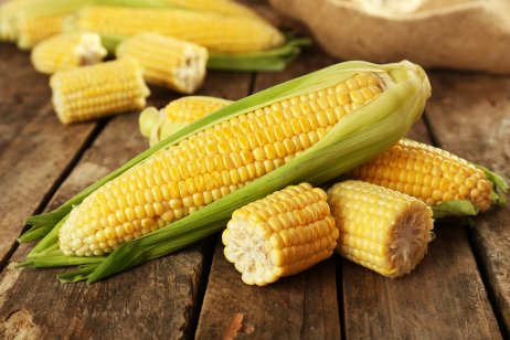 Image of several corn cobs on a wooden surface