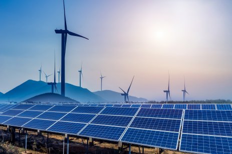 Renewable energy sector