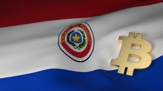 Paraguay flag, bitcoin sign